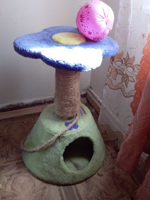 Дом для котов или котят