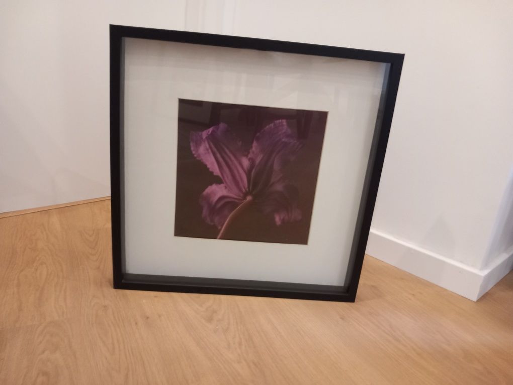 Quadros decorativos 50x50