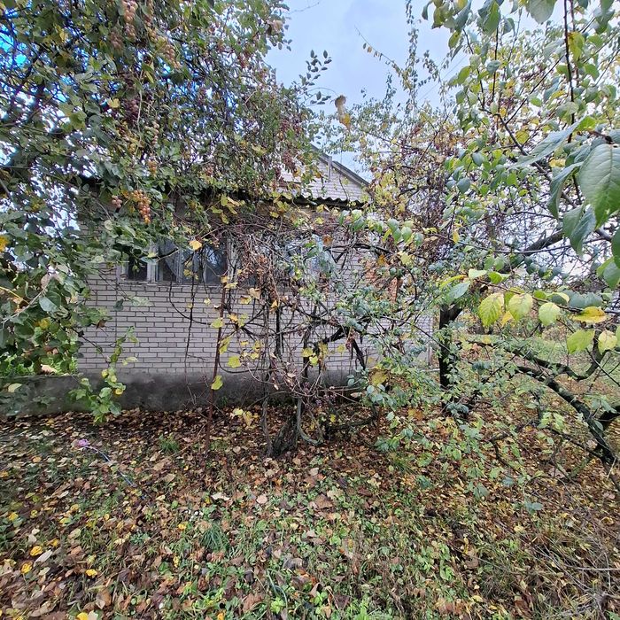 Будинок з великою територією