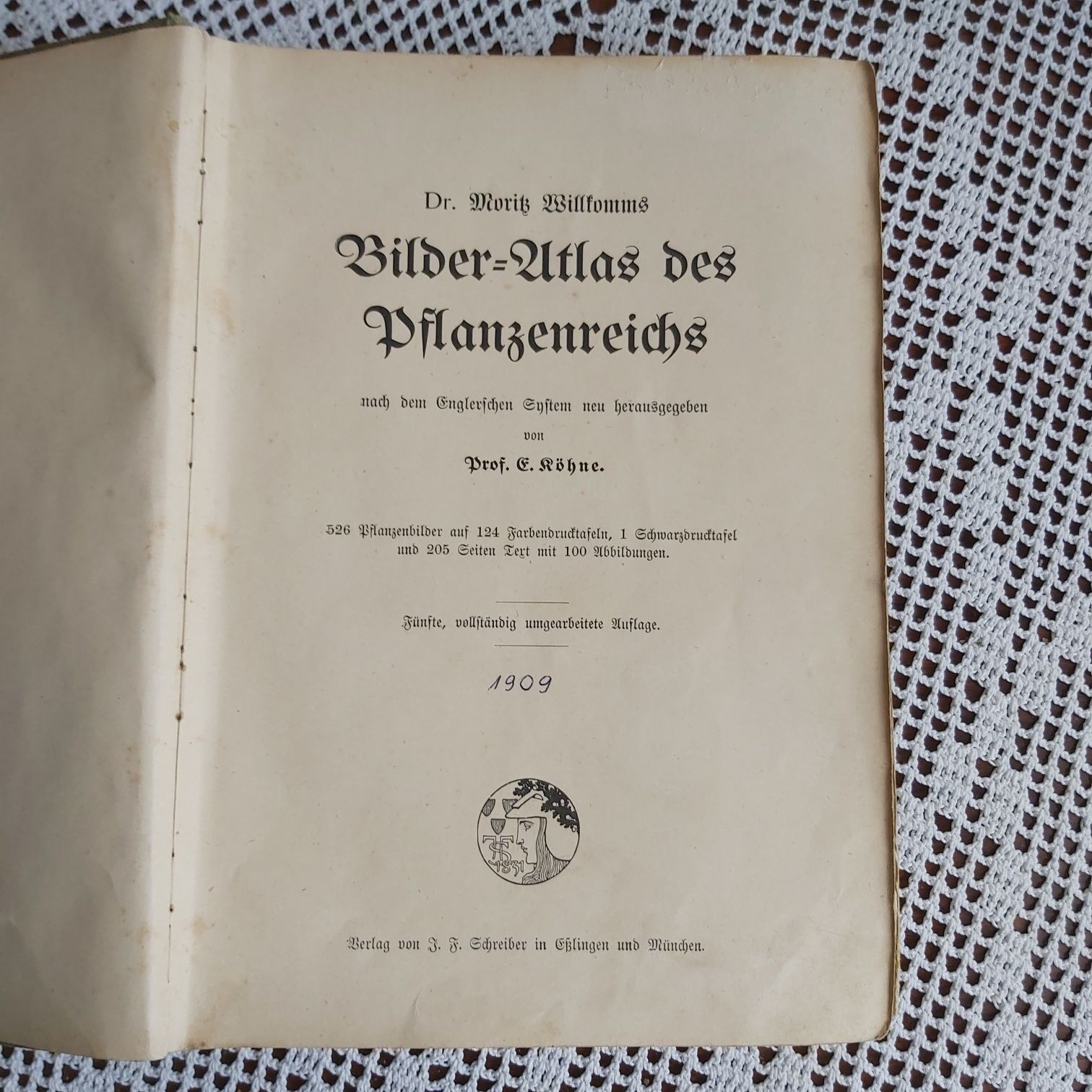 Bilderr Atlas des Pflanzenreichs 1909r.