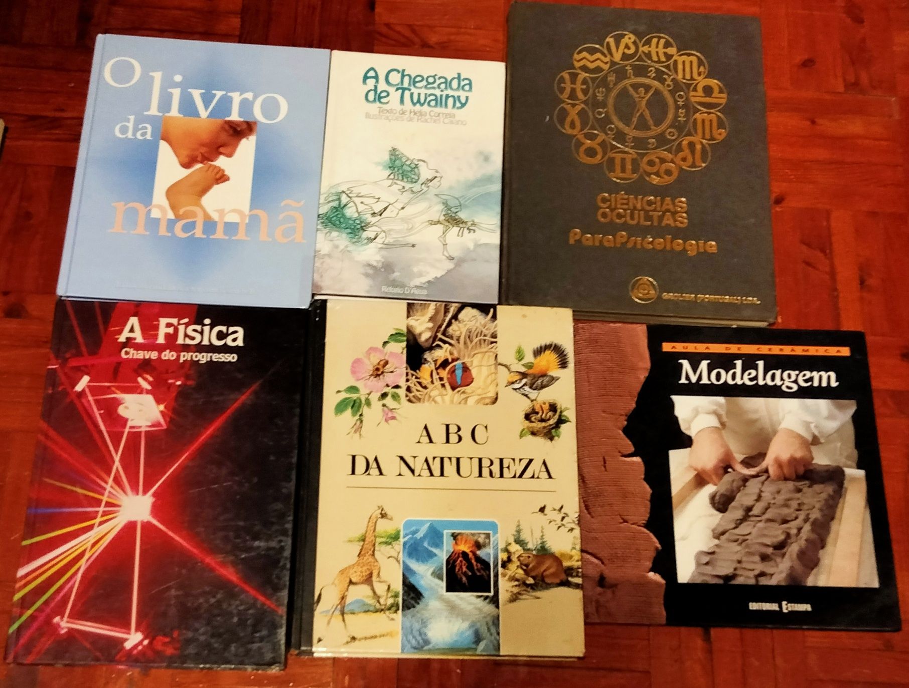 Lote de 30 livros diversos