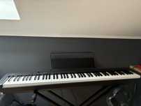 Casio cdp-s100.