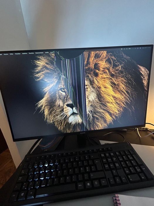 ** PARA REPARO - Monitor Philips confirme detalhes nas imagens.