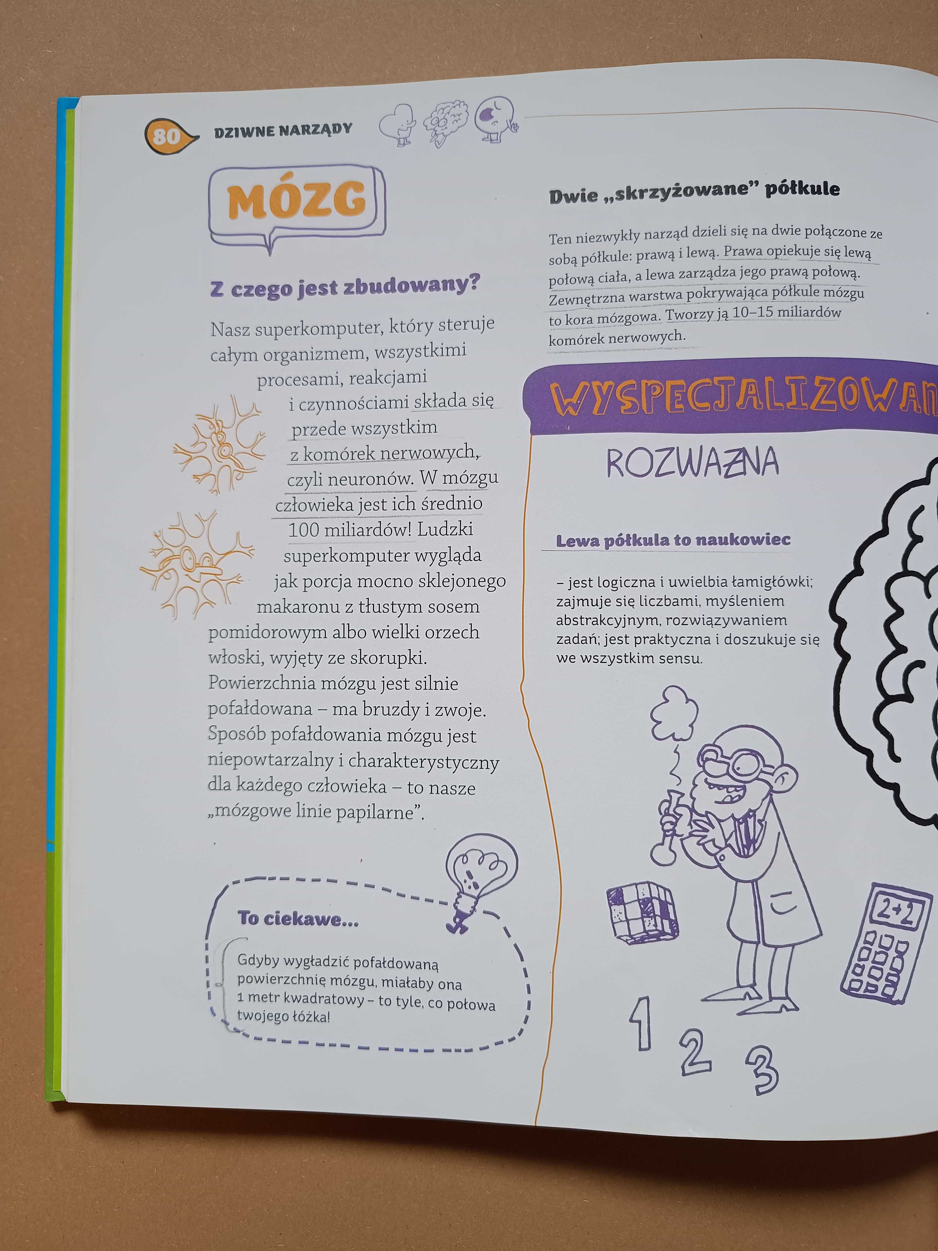 Ciało. Jak działa? - Marta Maruszczak