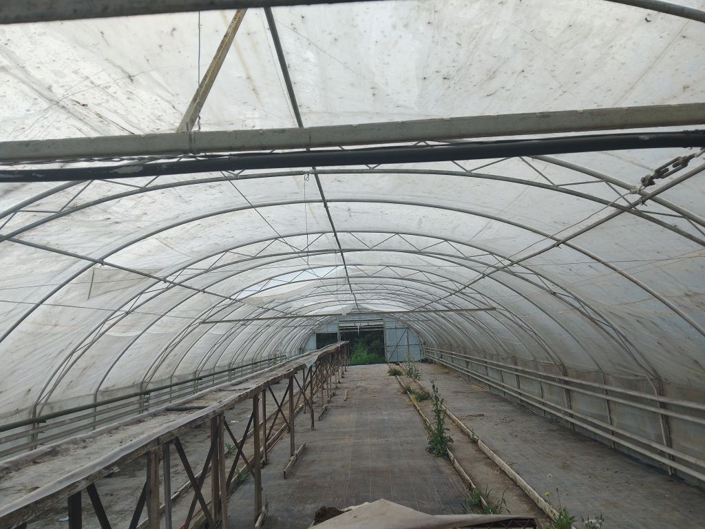 Namiot  Tunel foliowy ocynk