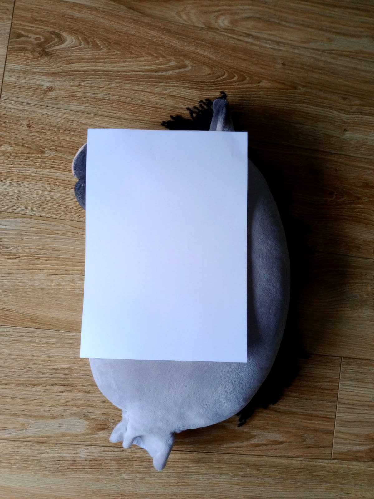 Hobby horse A3 myszaty