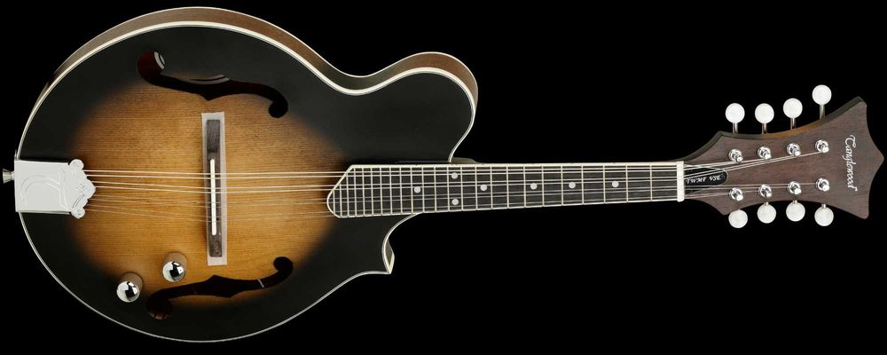 TANGLEWOOD TWMFV SE mandolina elektroakustyczna