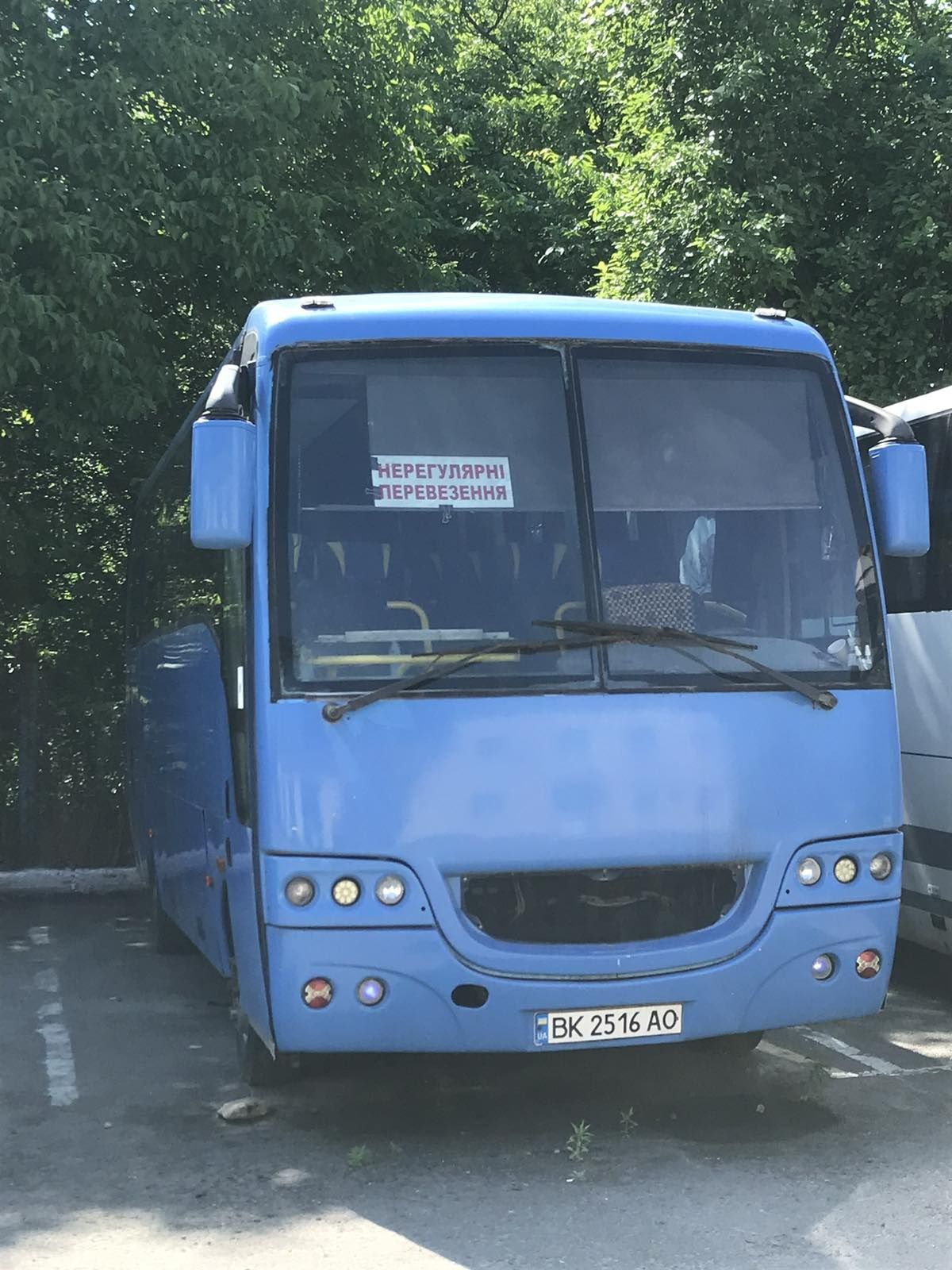 Автобус Isuzu турецький. 32 місця
