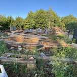 Oddam za darmo drewno