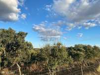 Terreno  para venda