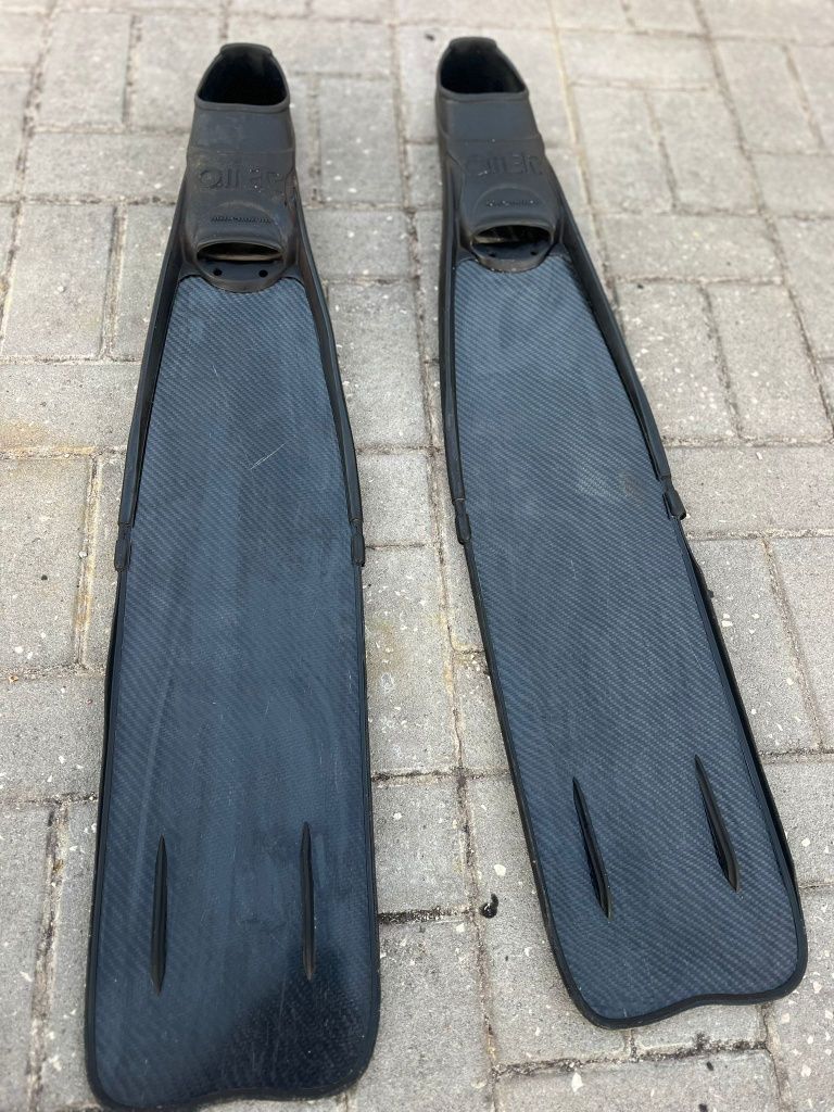 Barbatanas de carbono