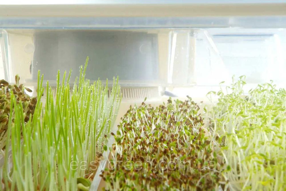 Проращиватель. Пророщувач EasyGreen Mikrofarm
