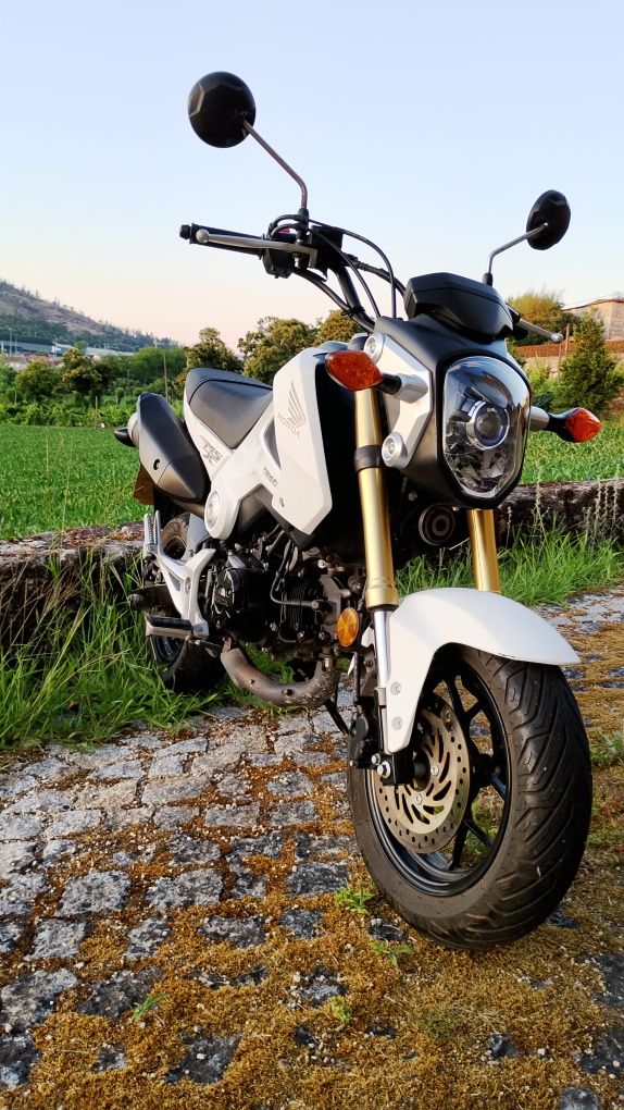 Honda msx 125 original