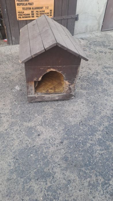 Buda dla psa oddam