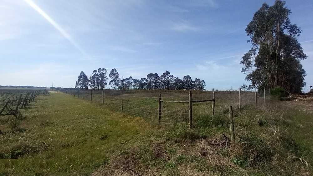 Armazém com 812 m2 num terreno com 51000 m2, Montijo.