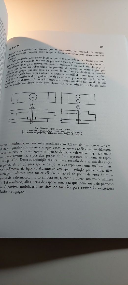 Bases para o Dimensionamento de Estruturas de Madeira - Tomás Mateus