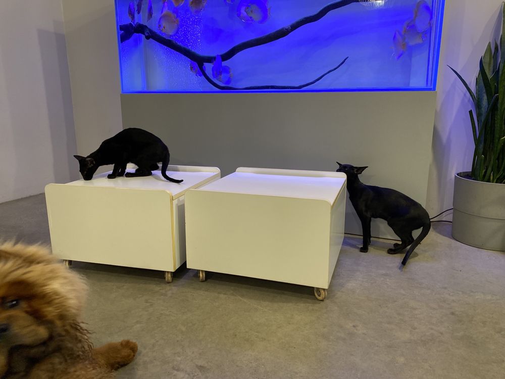 skrzynia (szafka) na kółkach 2 szt. IKEA