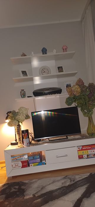 szafka RTV (szer. 120 cm) + półka na ścianę