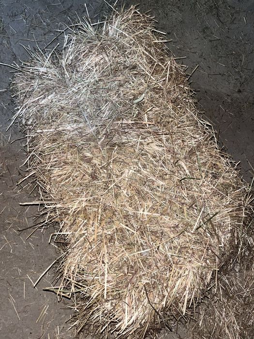 Kostki siana pierwszy pokos