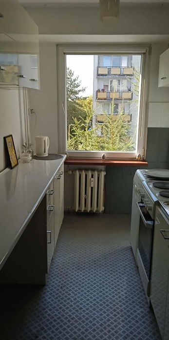 Do wynajęcia mieszkanie,  2 oddzielne pokoje.