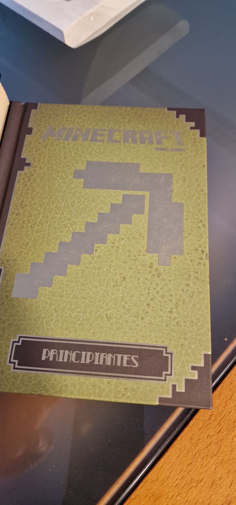 Conjunto de 2 livros Minecraft