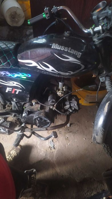 мустанг фіт 125 2023 рік