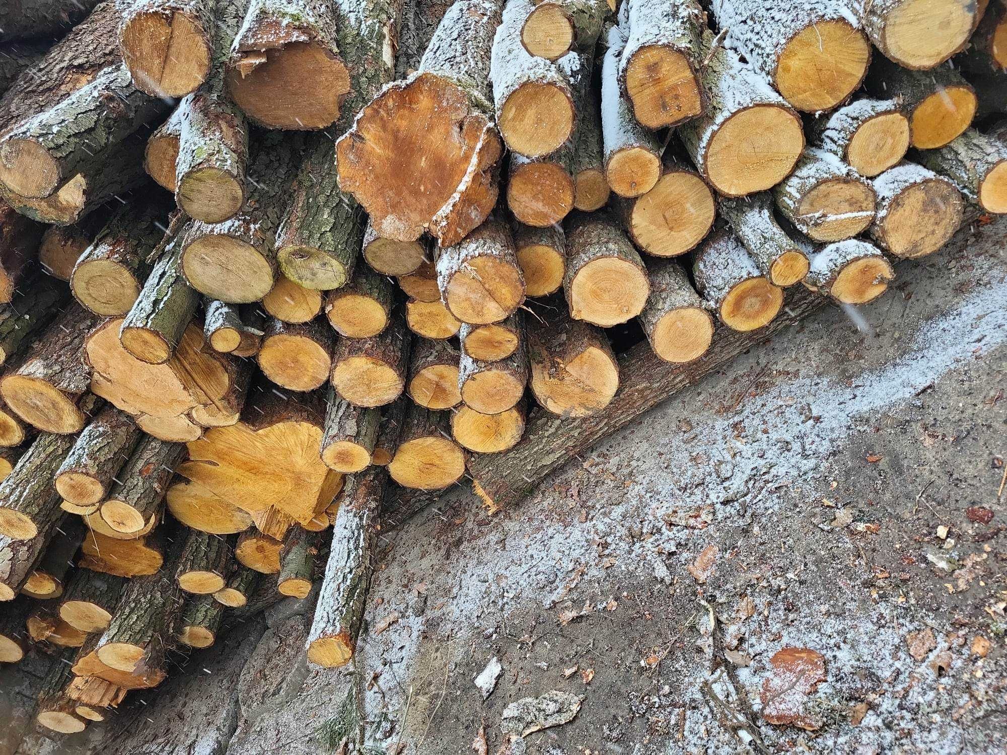 drewno opałowe s2a wałki dostawa od 5mp.