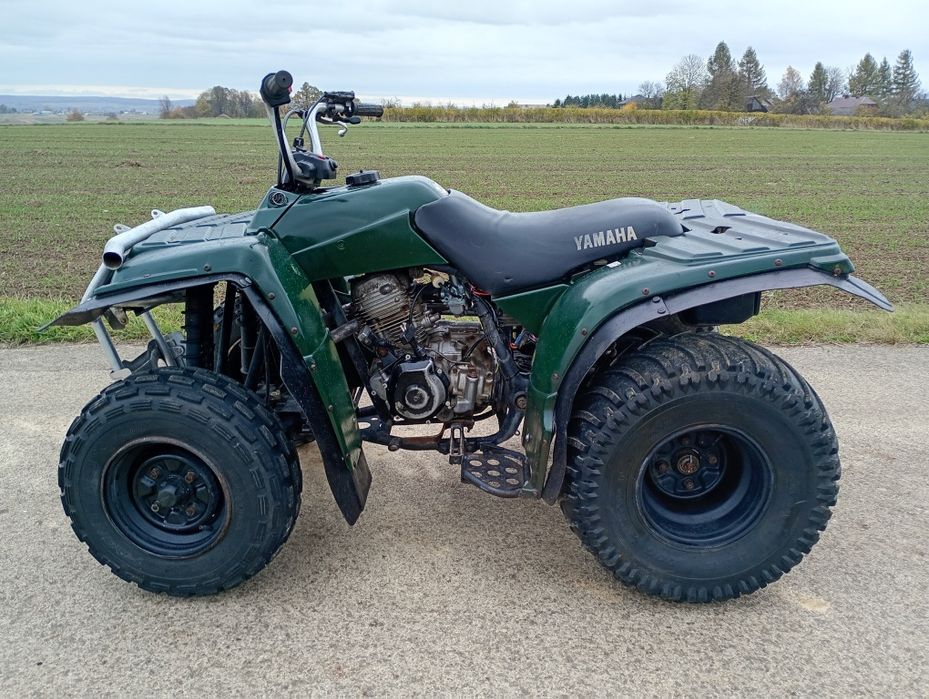 Quad Yamaha twimberwolf 250