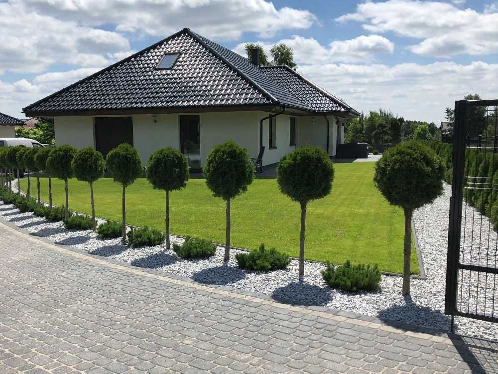 Usługi ogrodnicze- zakładanie trawników