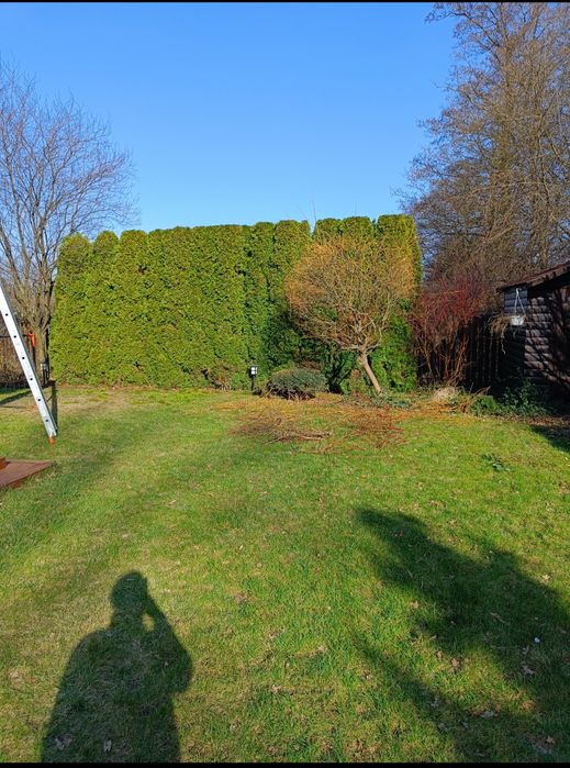 Usługi Ogrodnicze Warszawa i okolice. Wolne terminy listopad-grudz.