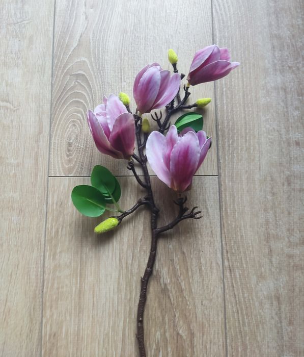 Kwiat magnolii NOWY