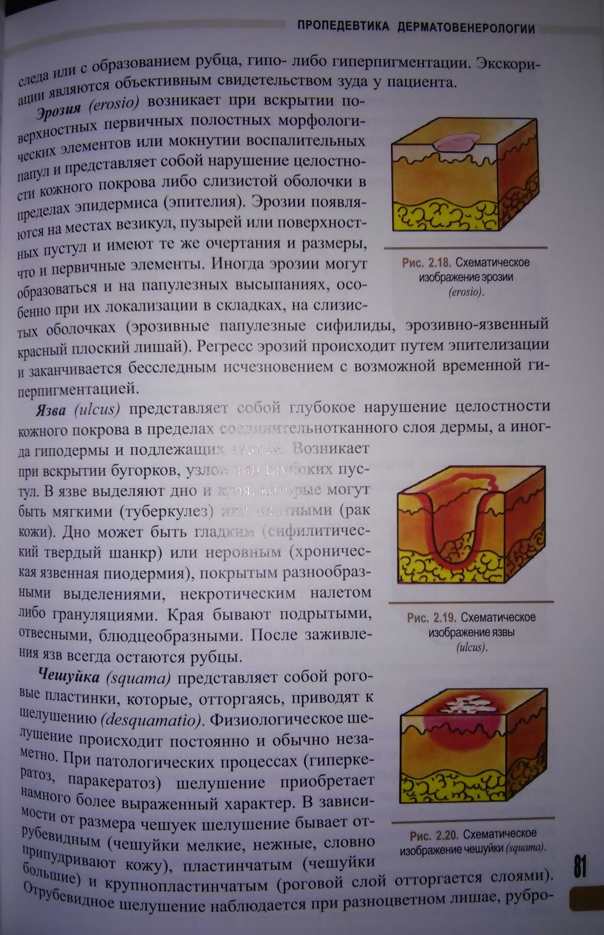 Степаненко Дерматология венерология учебник  2012 года