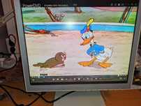 Монитор NEC LCD1760NX
