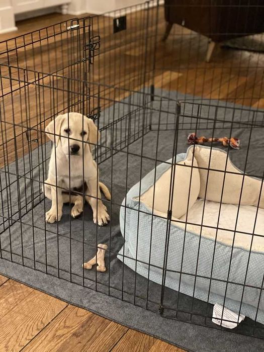 Манеж клетка 180х60х61h 8 секций с дверкой для собак щенков кролика