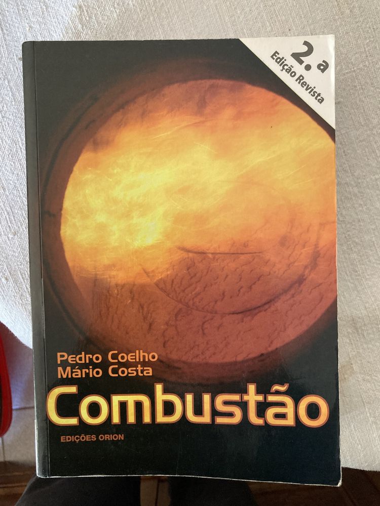 Combustão de Pedro Coelho e Mário Costa
