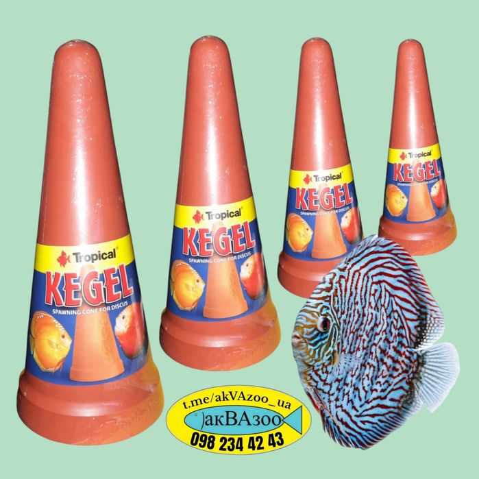 Конус для нереста цихлид дискусов скалярий Tropical