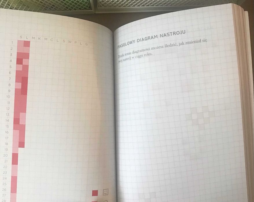 Twój rok z bullet bookiem