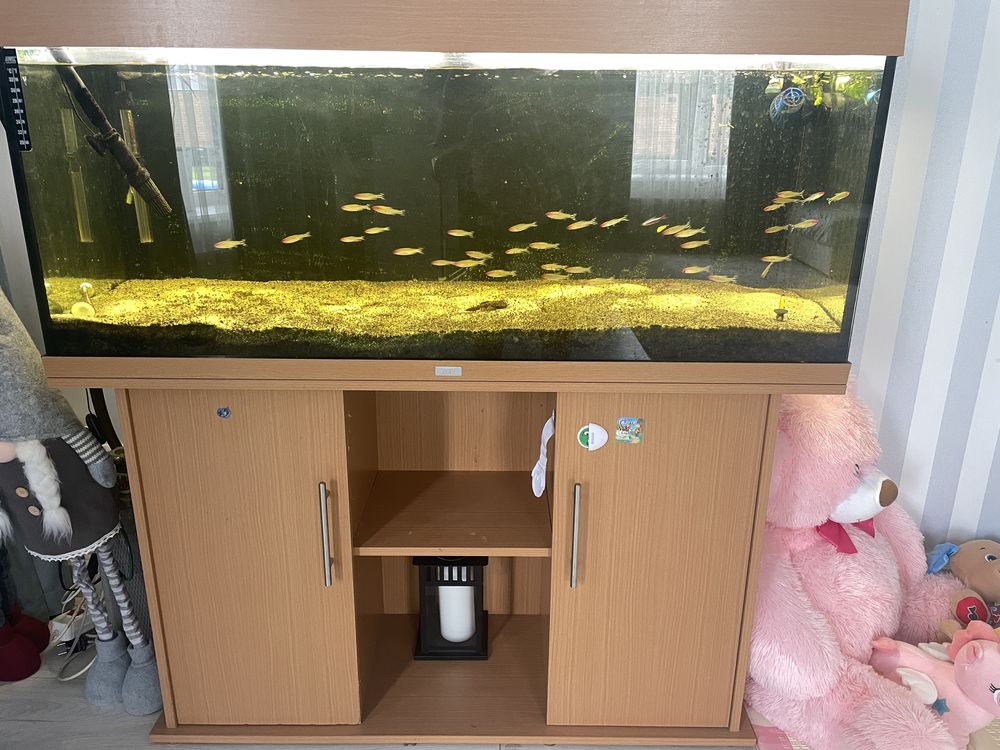 Аквариум juwel 240 л