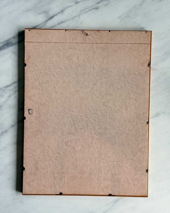 Botaniczny obrazek Rosa canina w drewnianej ramce, vintage