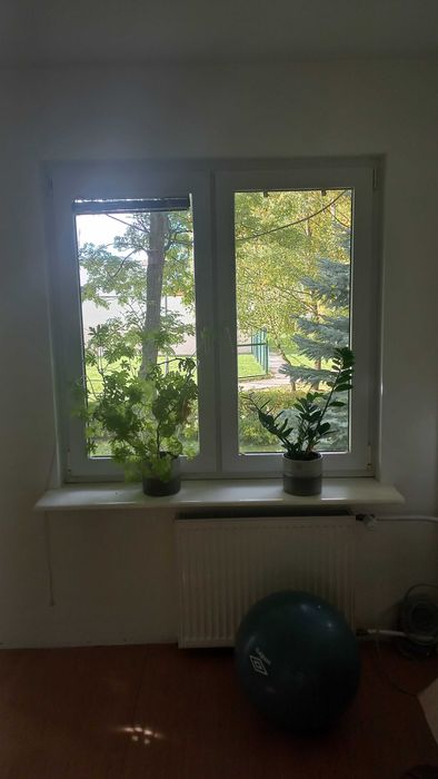 Wyposażenie okna