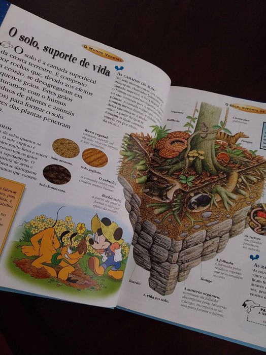 O Maravilhoso Mundo do Conhecimento, O Mundo Vegetal, Disney