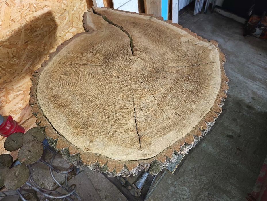 Plaster drewna debowy