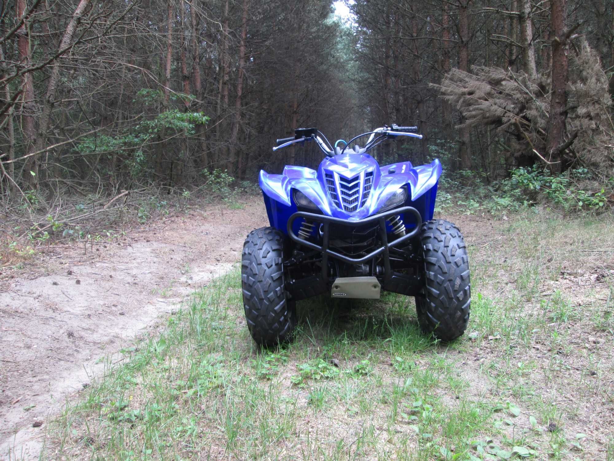 Quad ATV Yamaha Wolverine 450 4x4 klad jak Yamaha Grizzly Kodiak 4WD