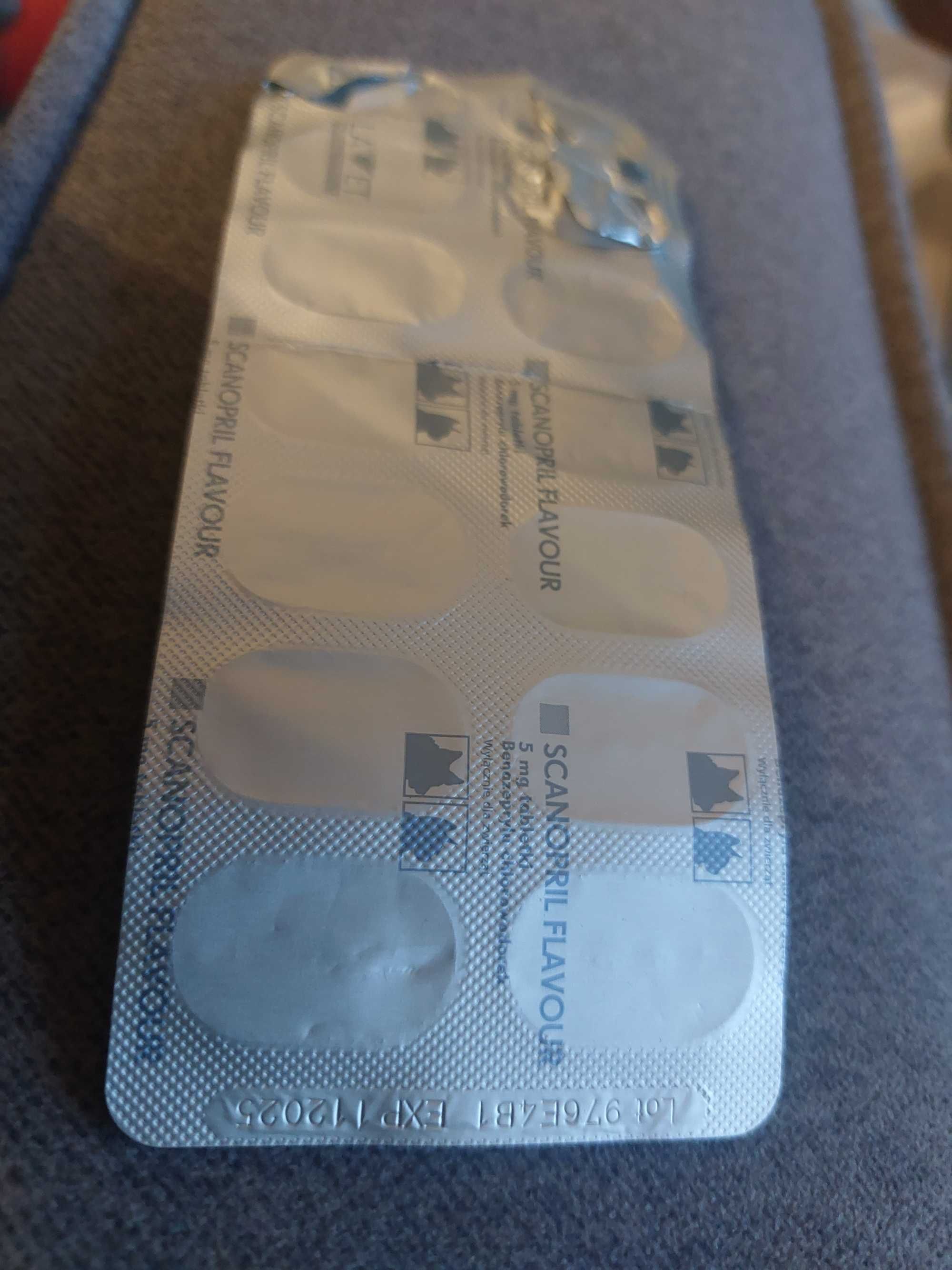 Scanop 5mg serce pies