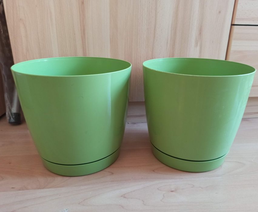Dwie zielone doniczki