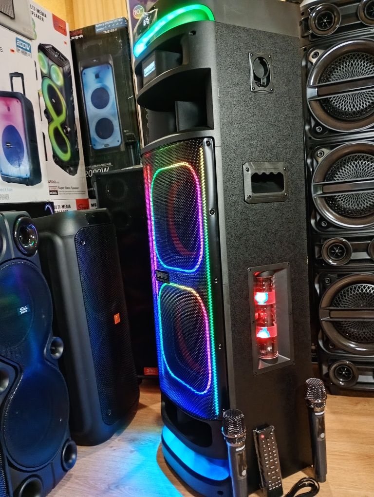 Караоке акустика Temeisheng-301(блютуз,microSD,USB,FM) ПультДУ, 2микро