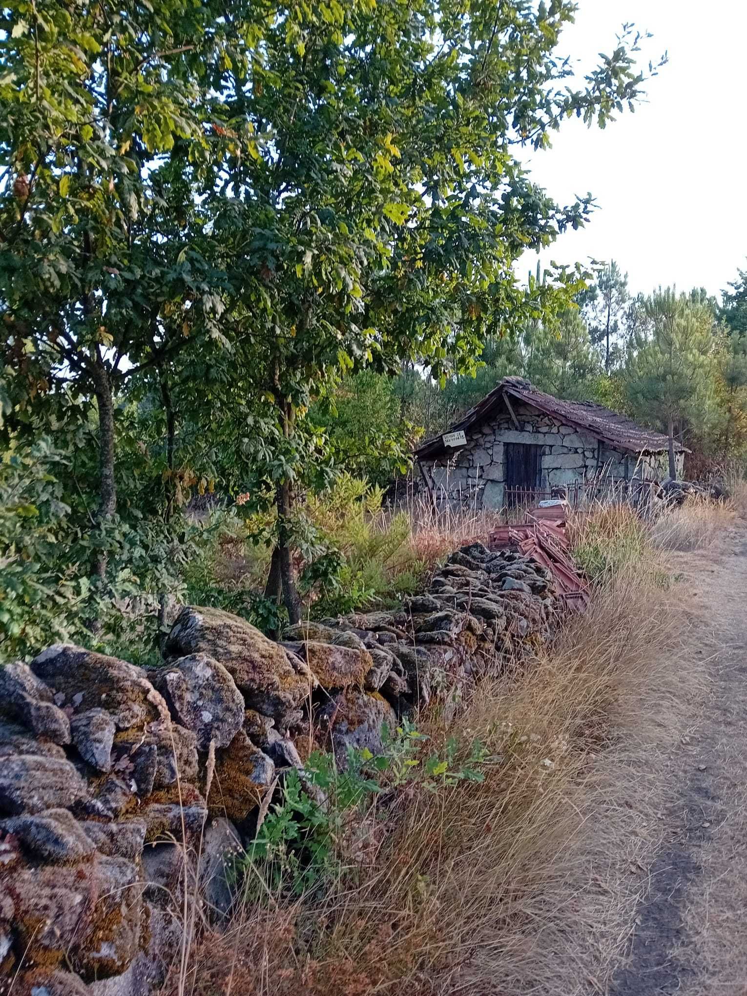Terreno rural Boa Aldeia