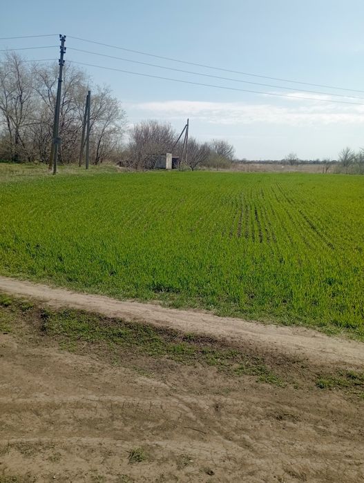 Земельна ділянка 20 сот.с.Знаменівка