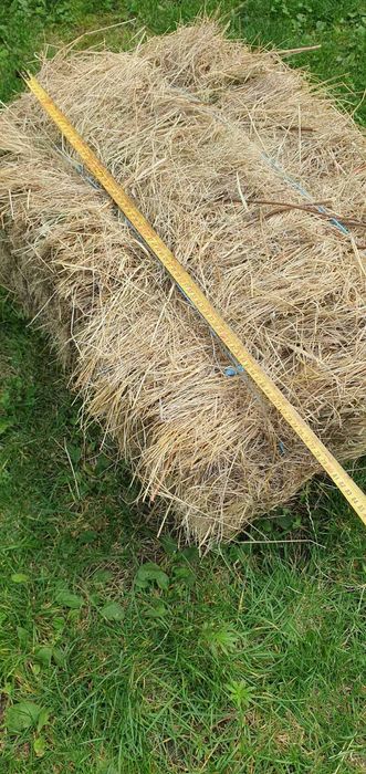 Сено луговое (Сіно лугове)