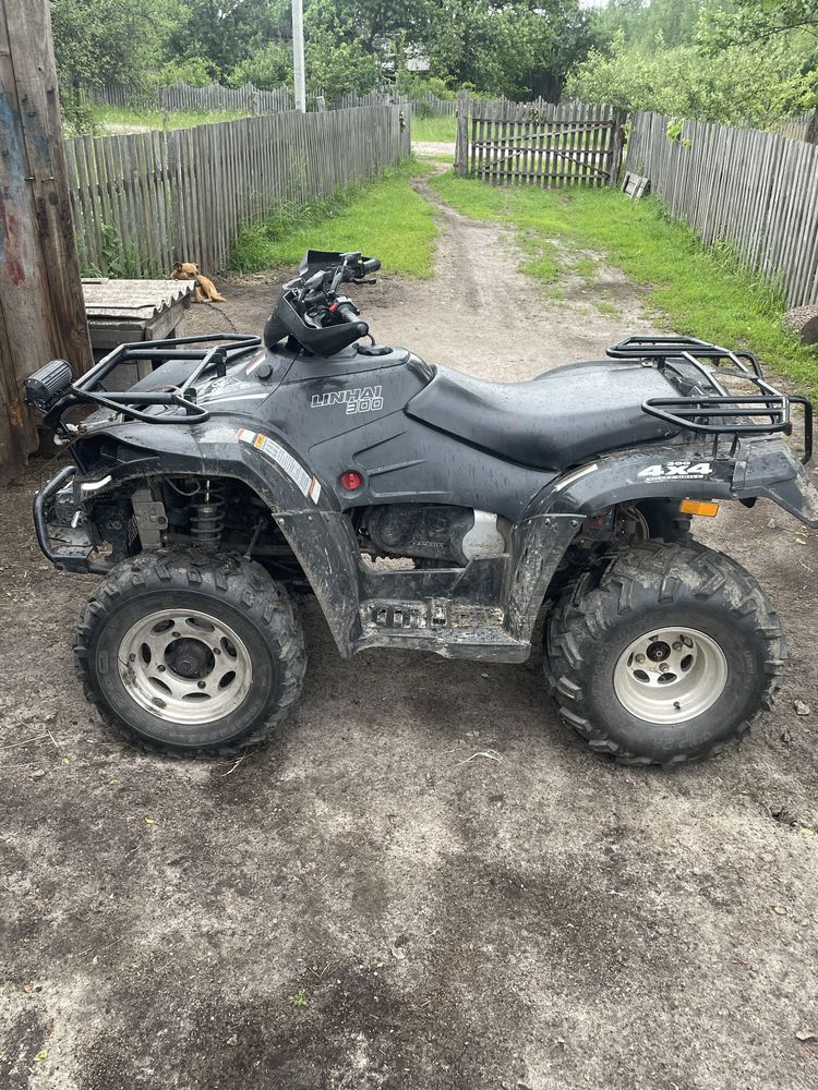 Лінхай 300